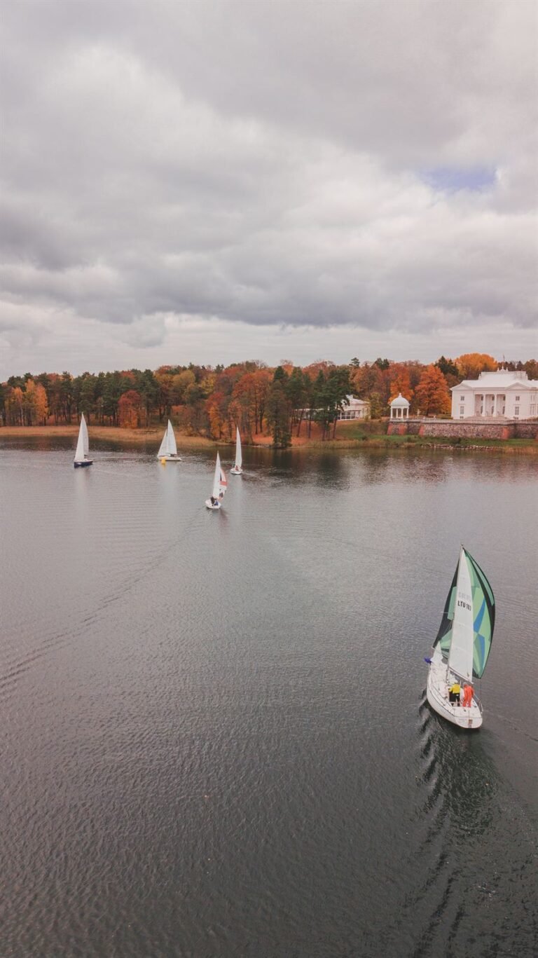 Jachtų regata prie Užutrakio dvaro, vaizdas iš oro