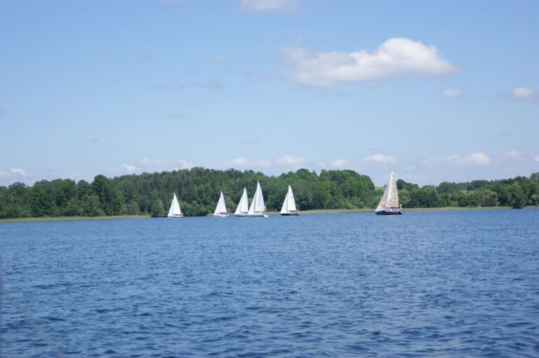 Jachtų regata Trakų ežere, burės horizonte